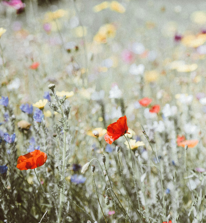 Comment enlever les mauvaises odeurs de vos textiles ?