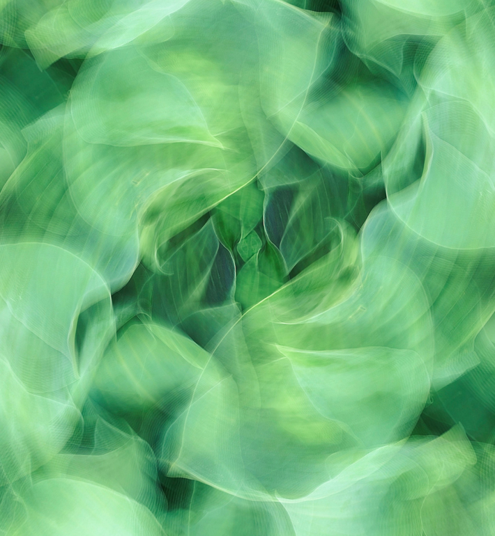 Le greenwashing : qu'est-ce que c'est ?