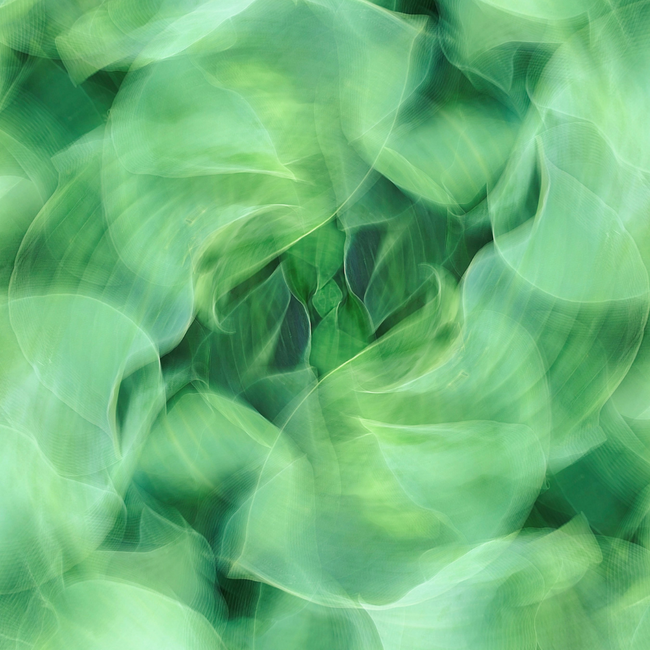 Le greenwashing : qu'est-ce que c'est ?