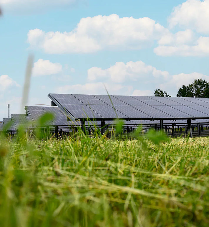 LA RSE CHEZ L'ARBRE VERT - REVUE D’ENGAGEMENT 2023