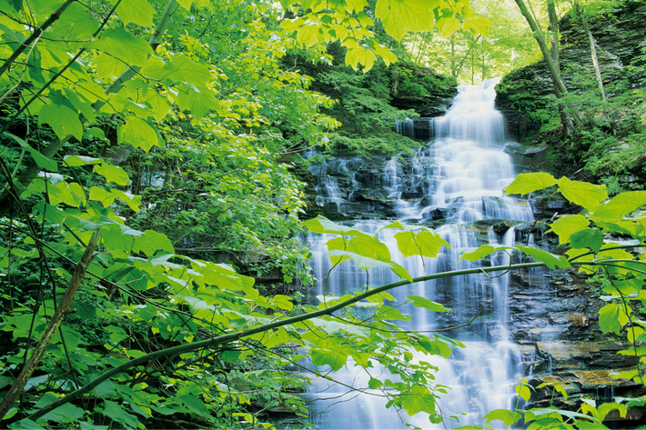 Mes produits du quotidien ont-ils un impact sur l'environnement ?