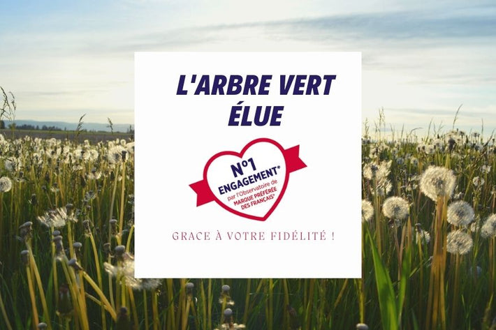 L’ARBRE VERT élue N°1 Engagement !