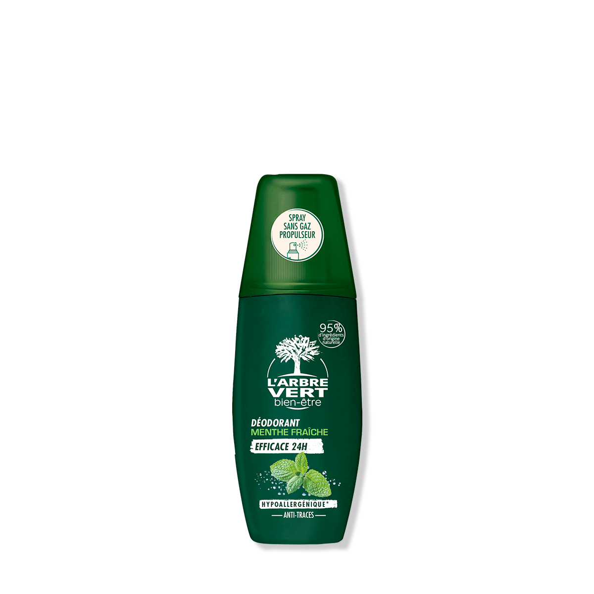 Déodorant spray - Homme Menthe fraîche 75 mL