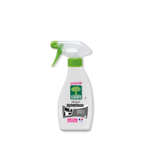 Spray nettoyant Spécial Inox 250 mL