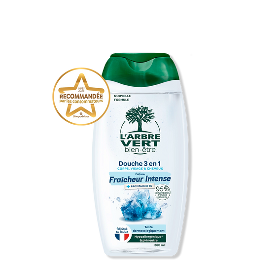 Douche homme 3 en 1 Parfum Fraicheur intense 260 mL