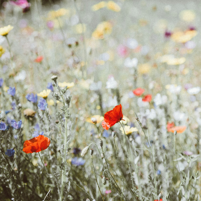 Comment enlever les mauvaises odeurs de vos textiles ?