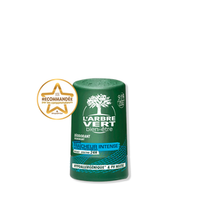 Déodorant Bille 24H - Homme Fraîcheur Intense 50 mL