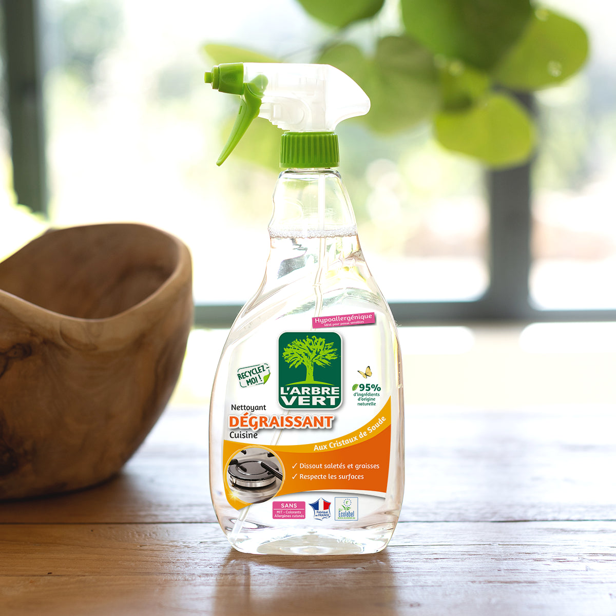 Spray Dégraissant Cuisine 740 mL