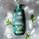 Douche homme 4 en 1 Parfum Menthe tonique 720 mL