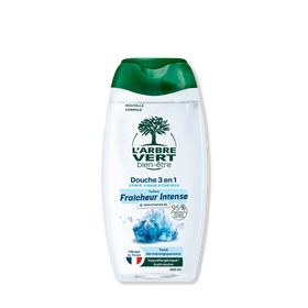 Douche homme 3 en 1 Parfum Fraicheur intense 260 mL