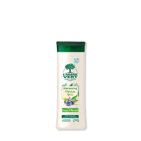 Shampooing Cheveux Gras Parfum Raisin & Thé Vert 250 mL
