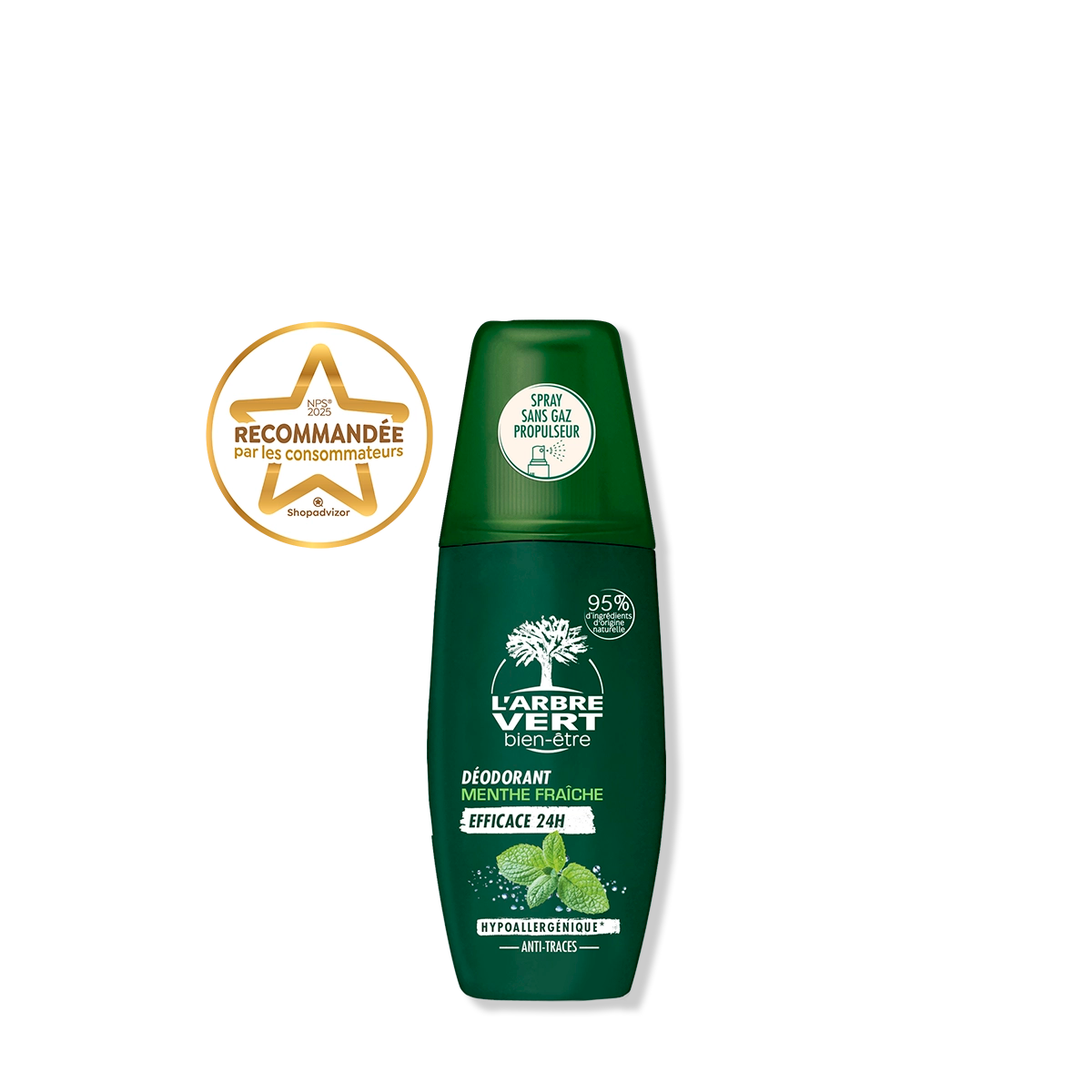 Déodorant spray - Homme Menthe fraîche 75 mL