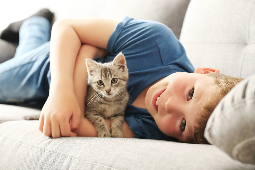 Traitement des odeurs d'urine de chats et de chiens dans une maison vers  Bourges - BST Aero