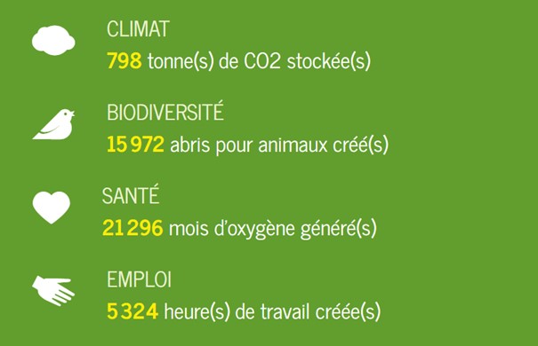 BILAN REFOREST 2020