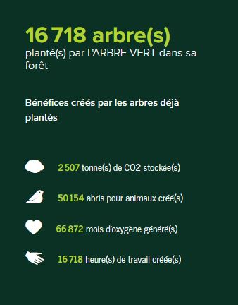 Bilan reforestaction 2022