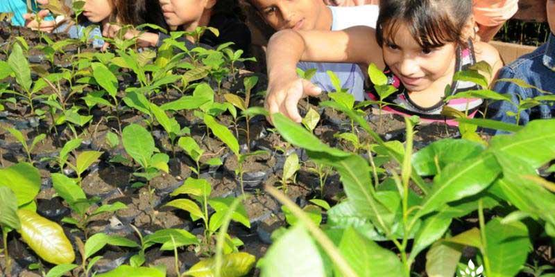 L’Arbre Vert poursuit son action avec Reforest’Action.