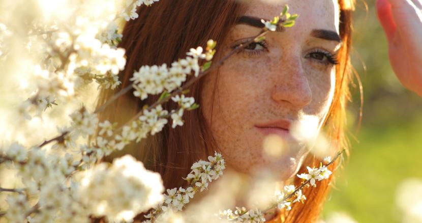 L’amande, parfum emblématique de la saga L’Arbre Vert