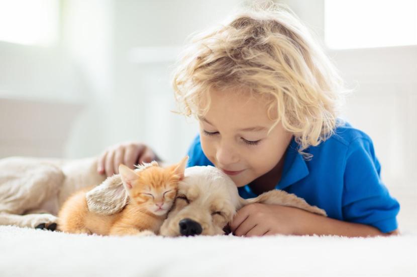 Peut-on laver son chien avec du shampooing  ?