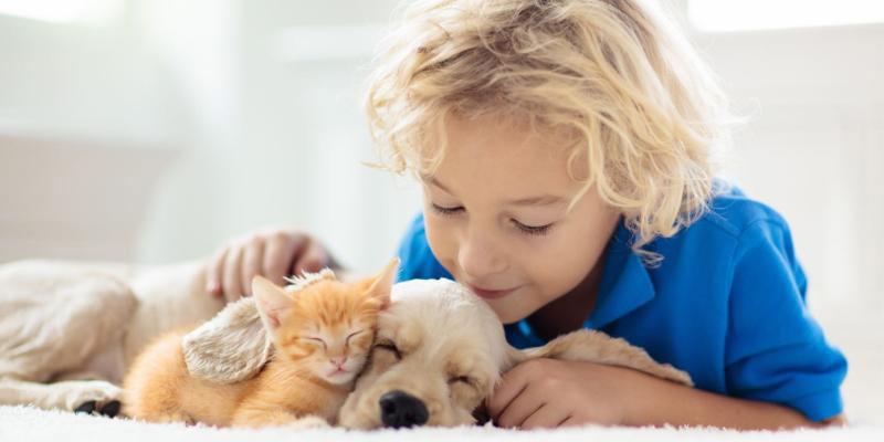 Peut-on laver son chien avec du shampooing ?